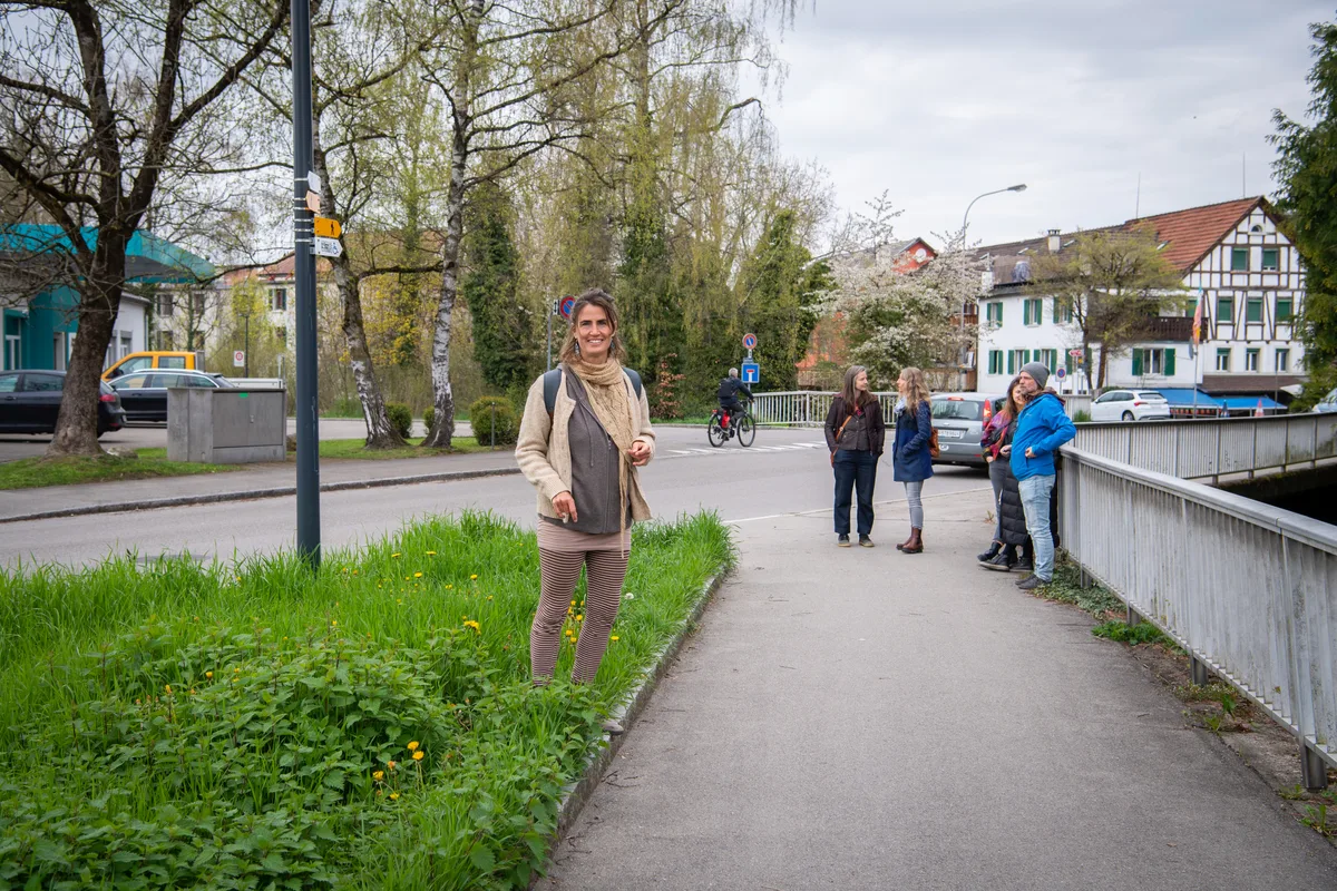 Waldkräuter an einem Strassenrand in Uster.